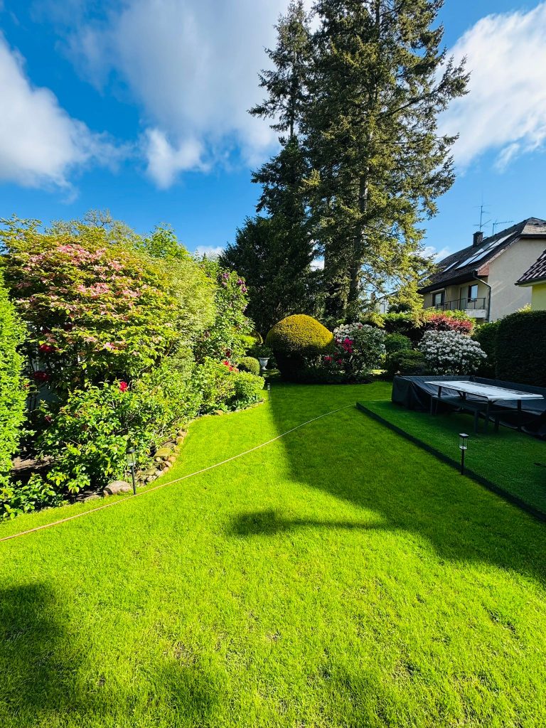 Gartenpflege Stahnsdorf: gepflegter Rasen mit Bäumen